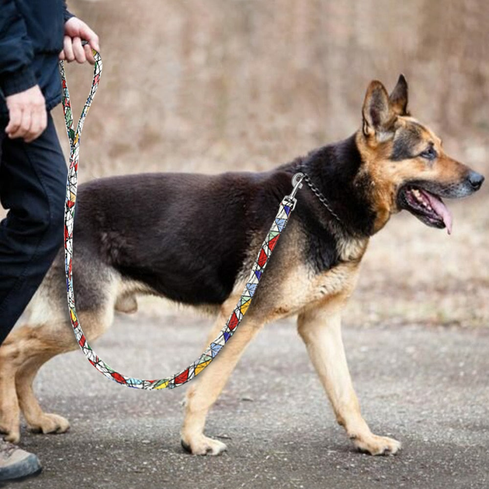 Thick Pattern Printed Dog Lead