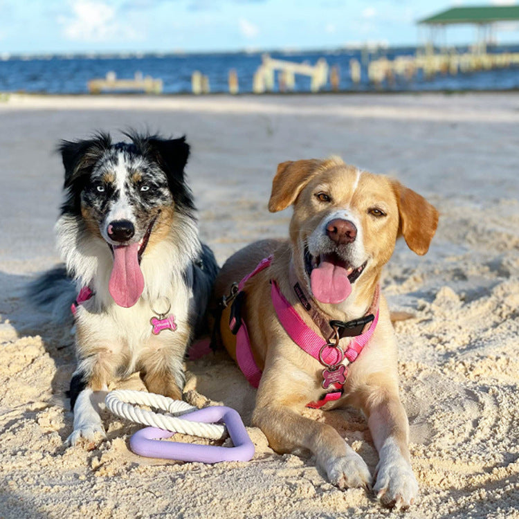 Pet Pulling Rope And Rubber Chew Toy