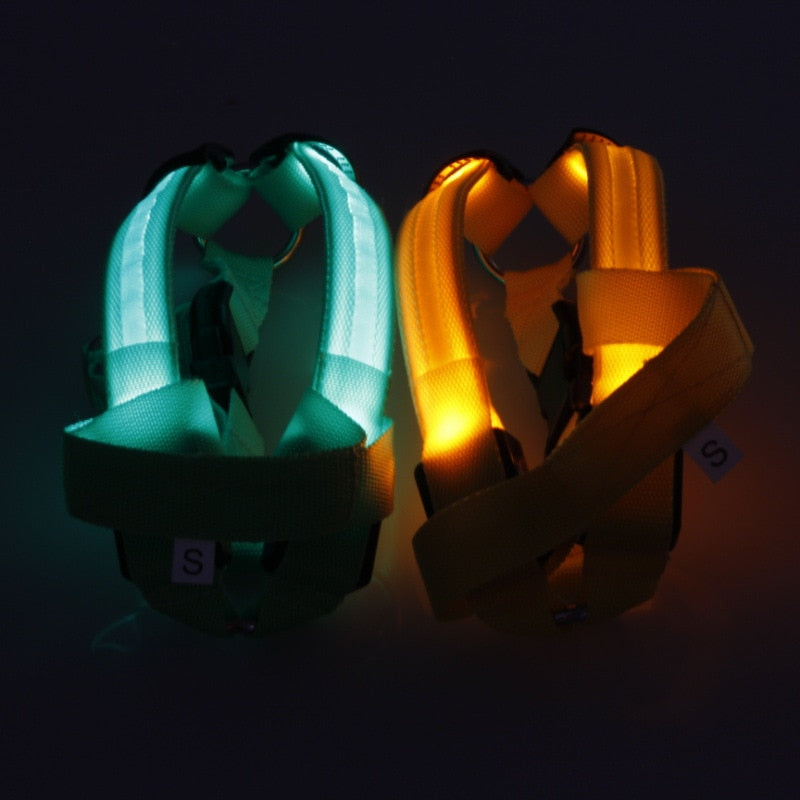 Nylon Dog Safety LED Harness - Various Colours