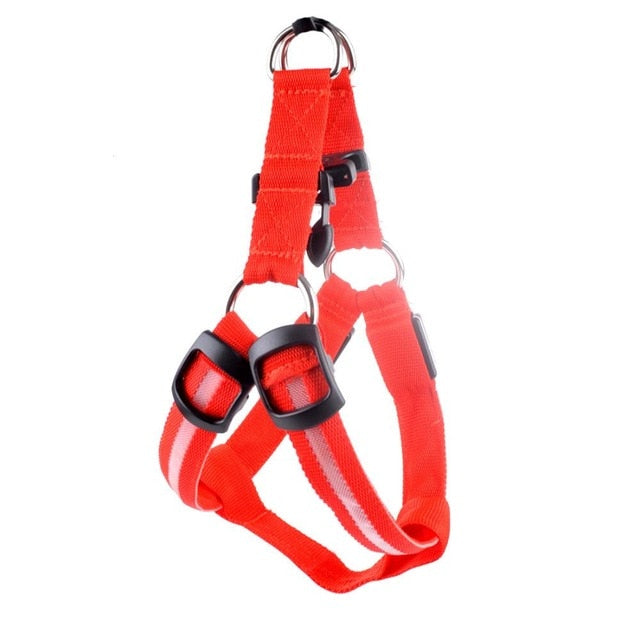 Nylon Dog Safety LED Harness - Various Colours