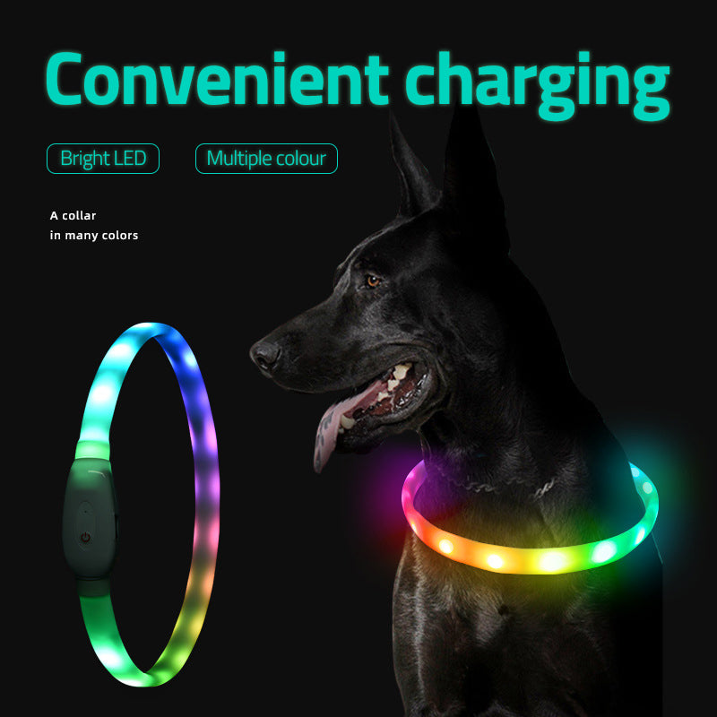 Pet Luminous Collar USB Charging