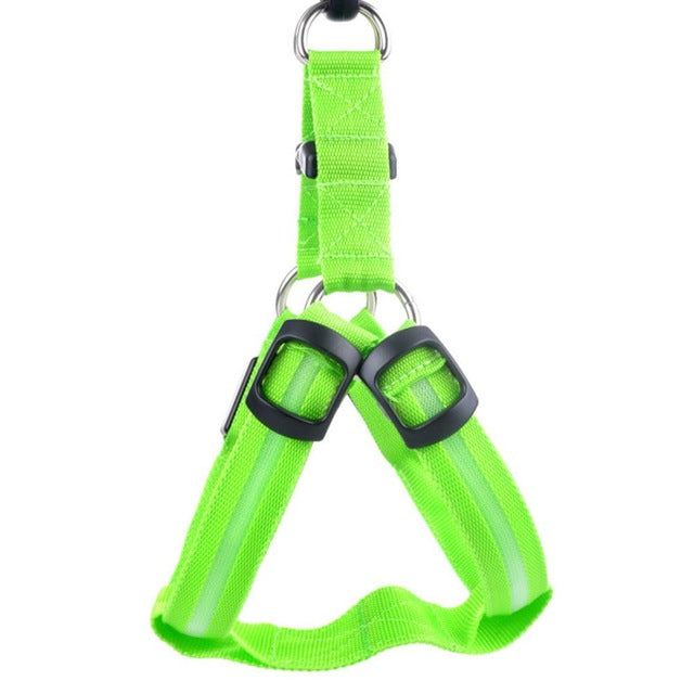 Nylon Dog Safety LED Harness - Various Colours