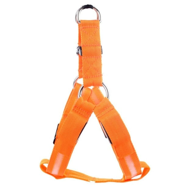 Nylon Dog Safety LED Harness - Various Colours