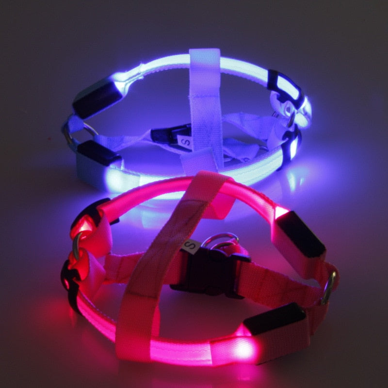 Nylon Dog Safety LED Harness - Various Colours