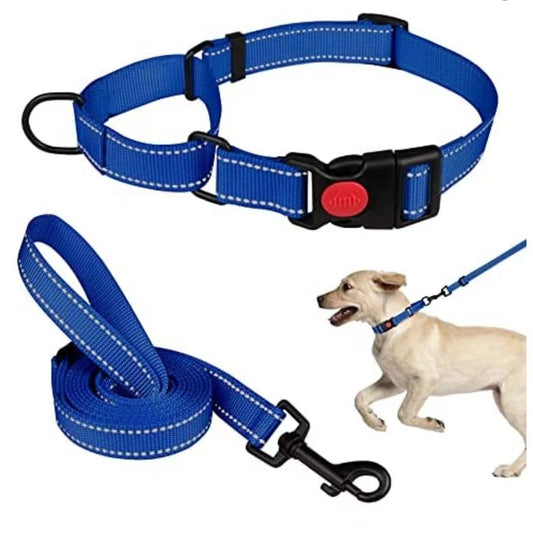 Adjustable Traction Reflective Dog Collar and Lead