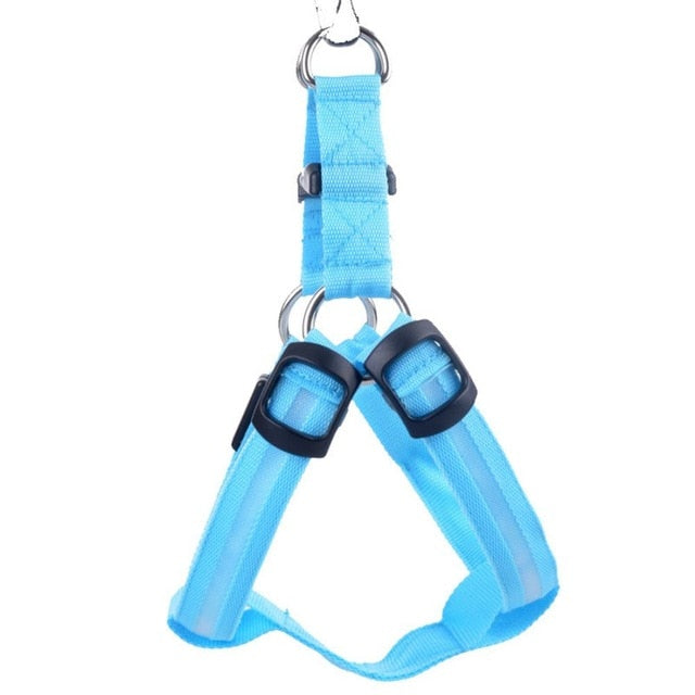 Nylon Dog Safety LED Harness - Various Colours