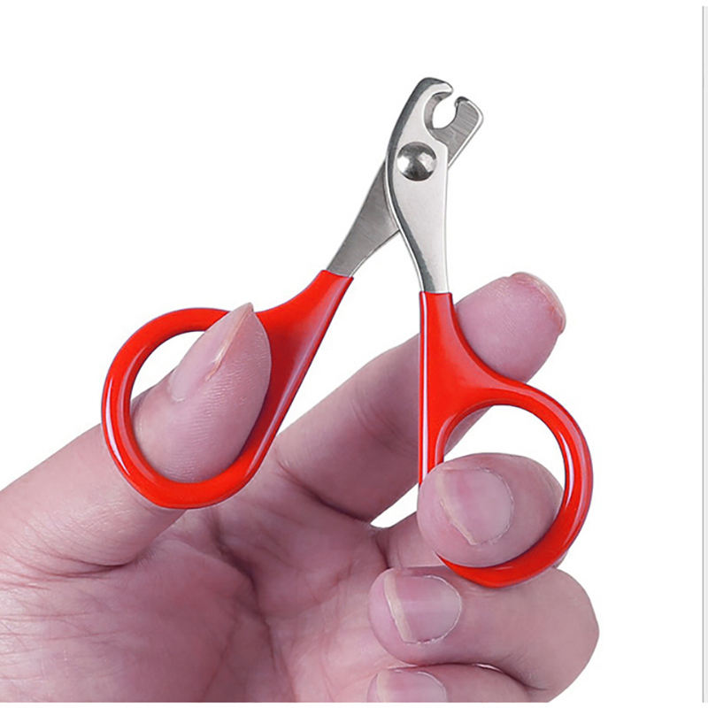 Cat Nail Scissors