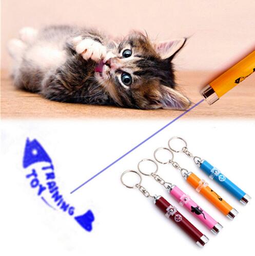 Cat LED Laser Pointer Pen