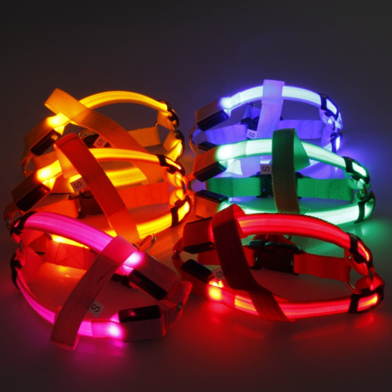 Nylon Dog Safety LED Harness - Various Colours