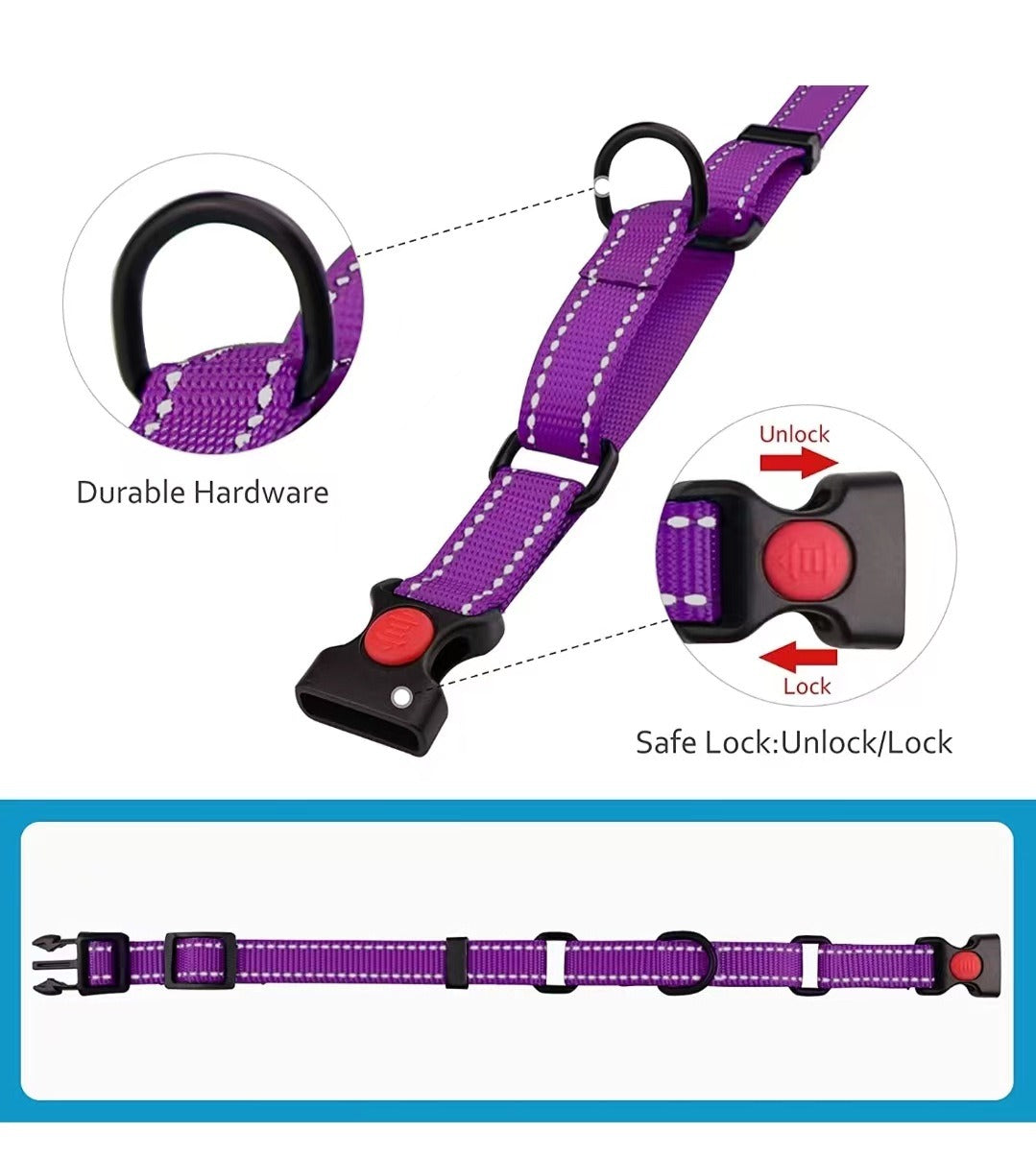 Adjustable Traction Reflective Dog Collar and Lead