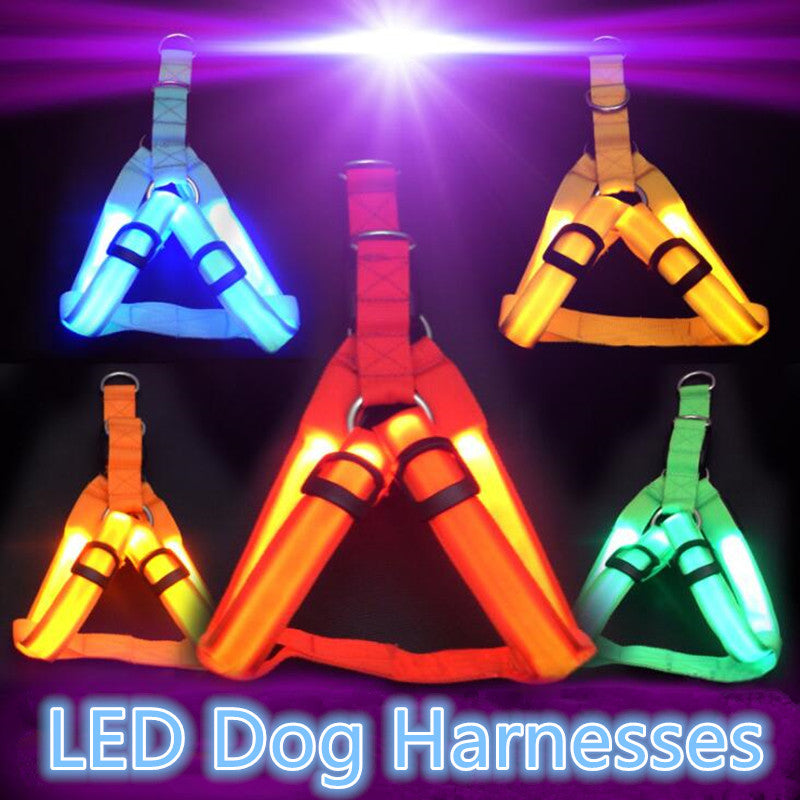 Nylon Dog Safety LED Harness - Various Colours