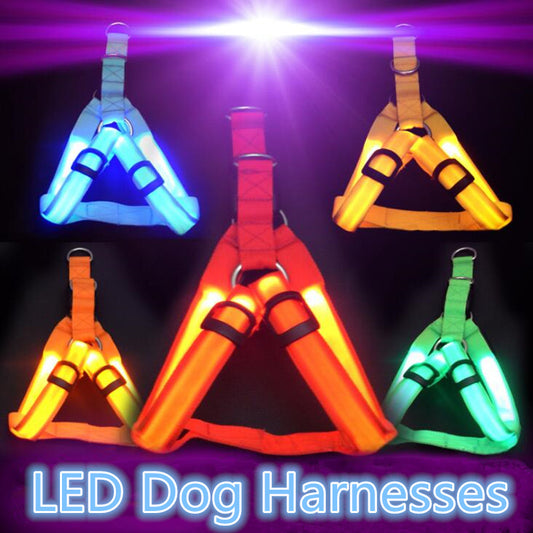 Nylon Dog Safety LED Harness - Various Colours