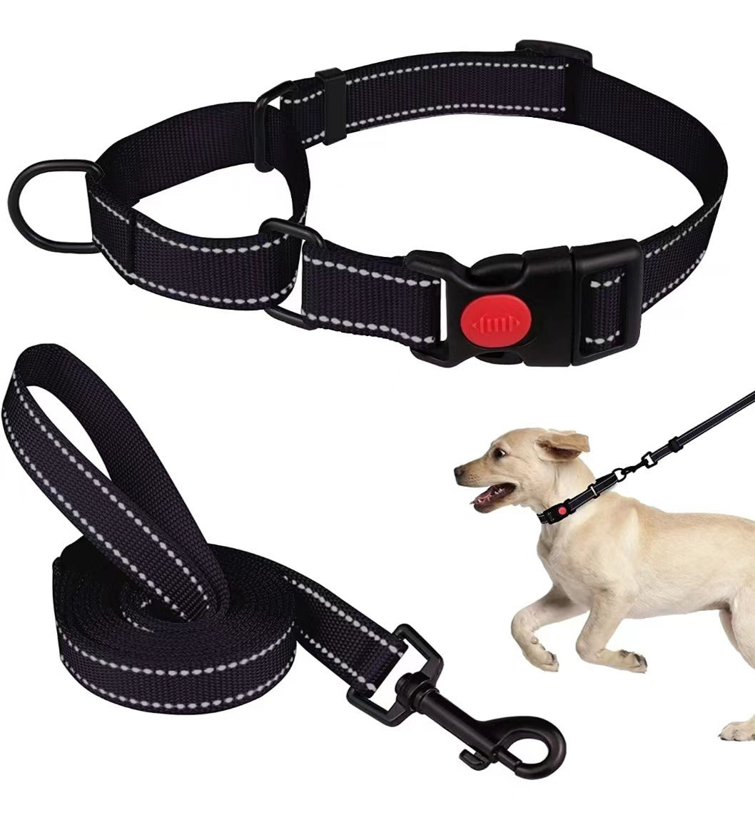 Adjustable Traction Reflective Dog Collar and Lead