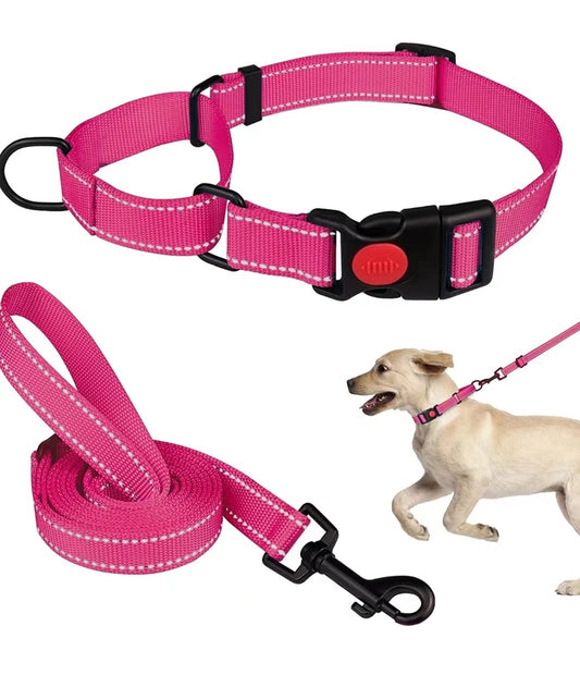 Adjustable Traction Reflective Dog Collar and Lead