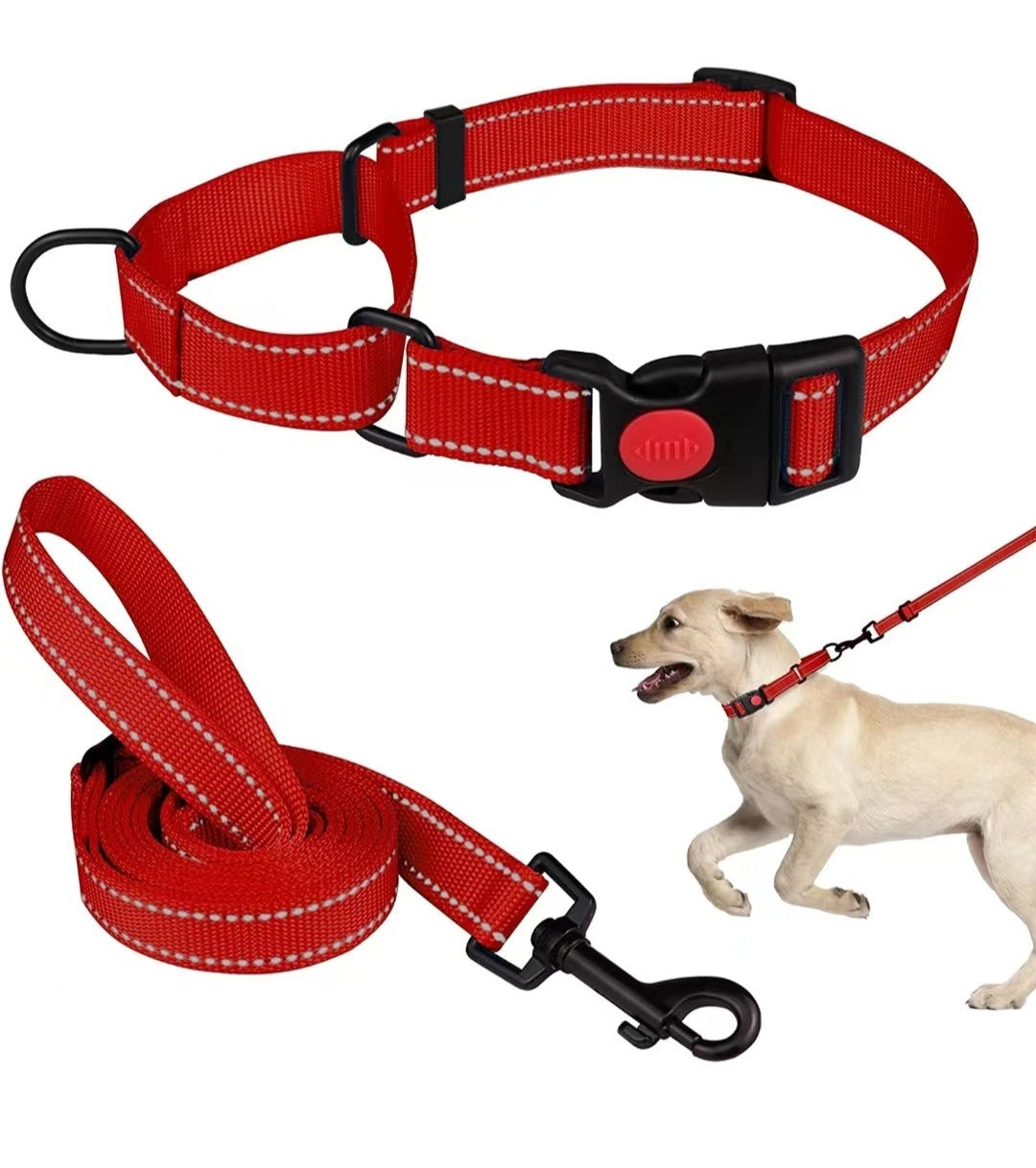 Adjustable Traction Reflective Dog Collar and Lead